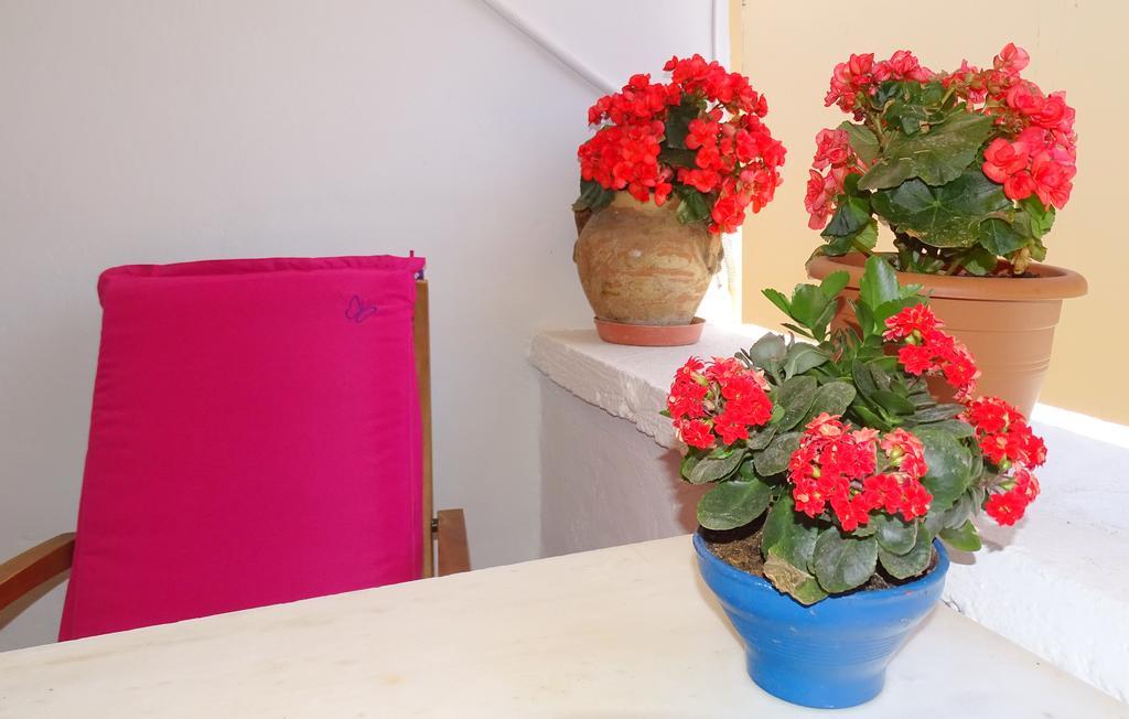 Anemones Rooms خانيا المظهر الخارجي الصورة