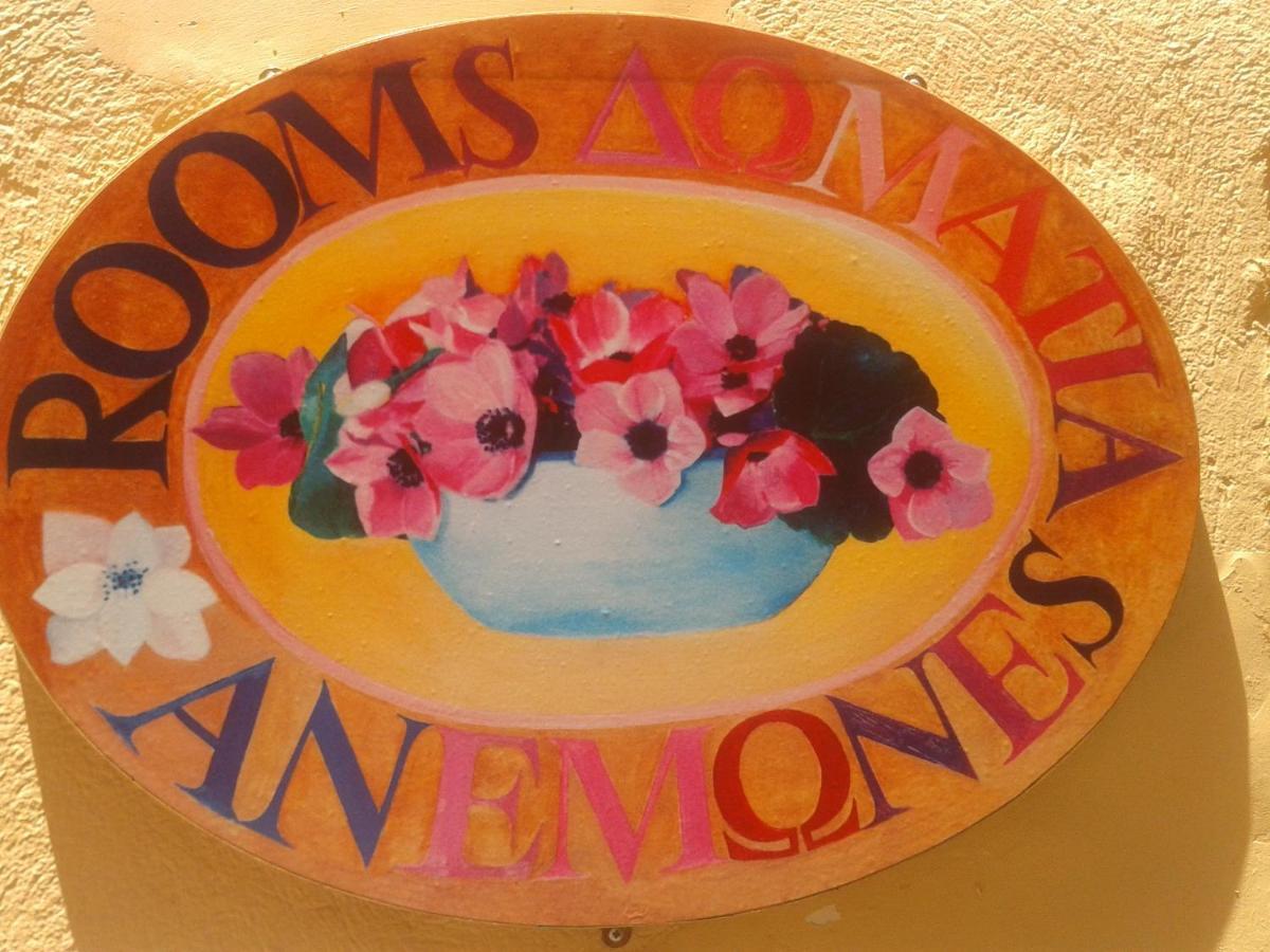Anemones Rooms خانيا المظهر الخارجي الصورة